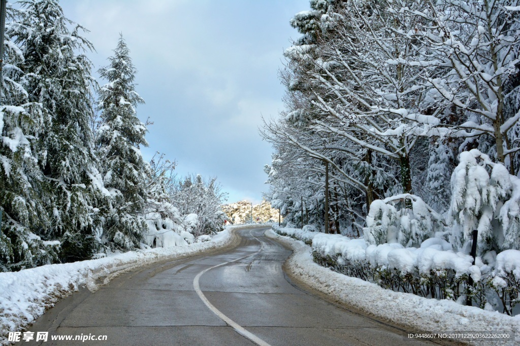 冬季道路雪景图片