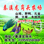 生态园农场