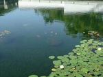 湖水