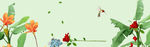小清新banner