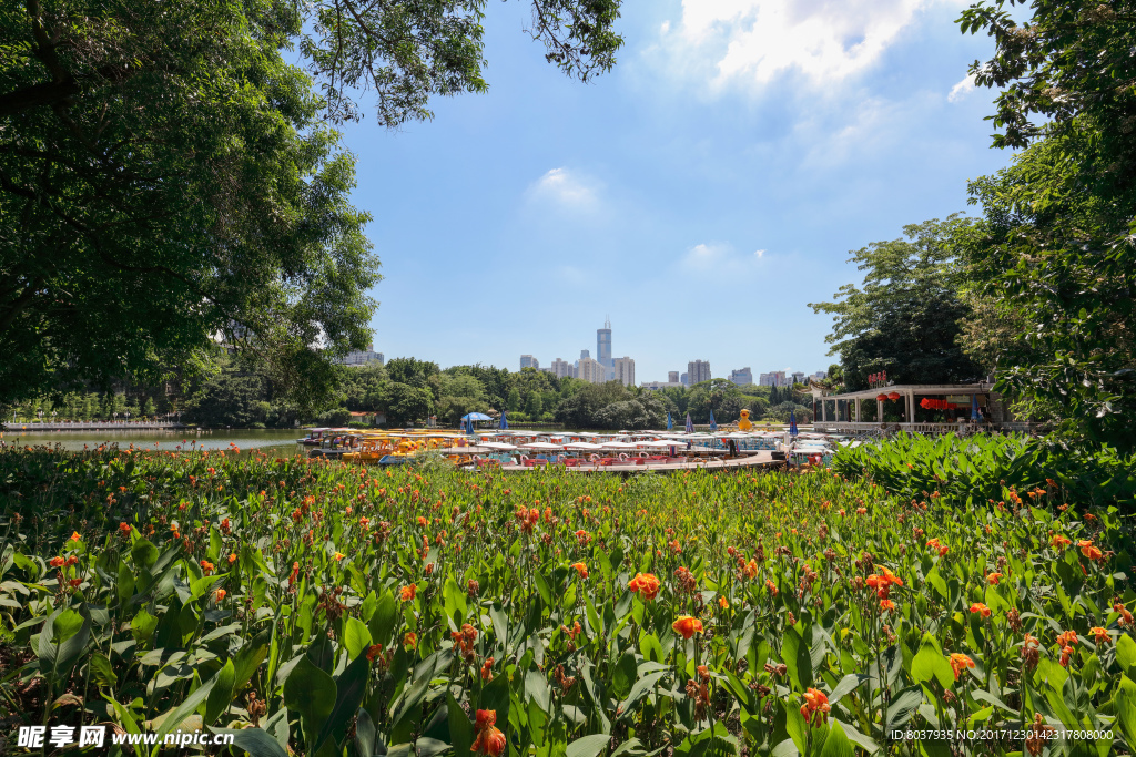 深圳荔枝公园