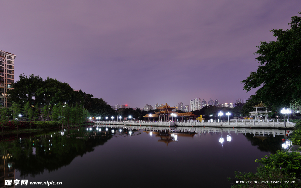 深圳荔枝公园夜景