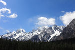 玉龙雪山云杉坪