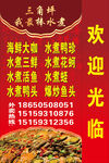 水煮活鱼灯箱