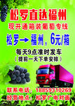 葡萄货运