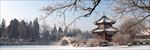 保定古莲池雪晴
