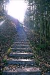 山间小路