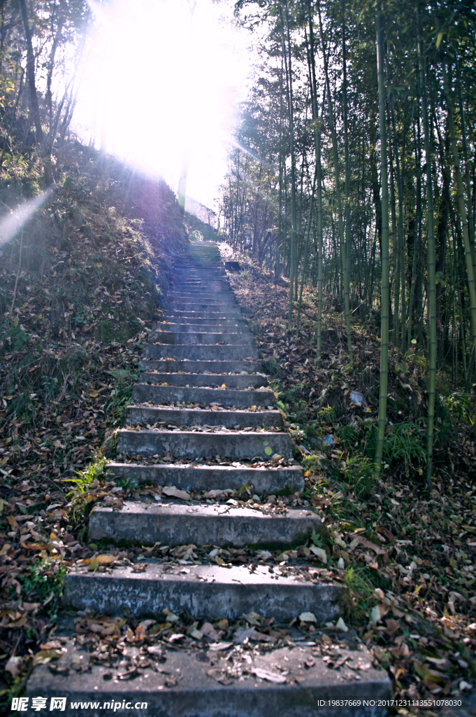 山间小路