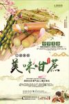 时尚简约甘蔗海报