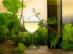 酒杯