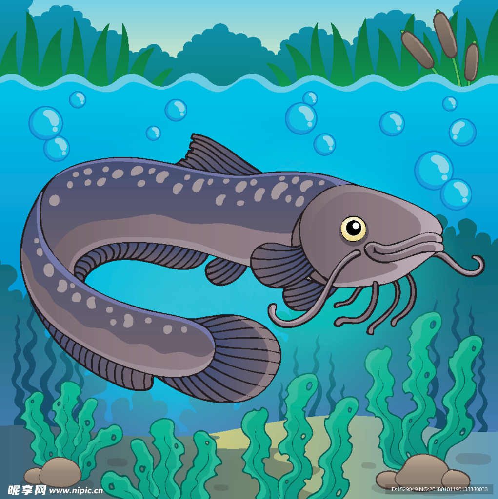 卡通海洋生物