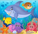 卡通海洋生物