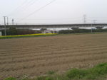 城中田地