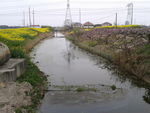 河道