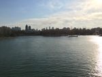 河面