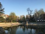 校园的湖