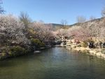 河岸