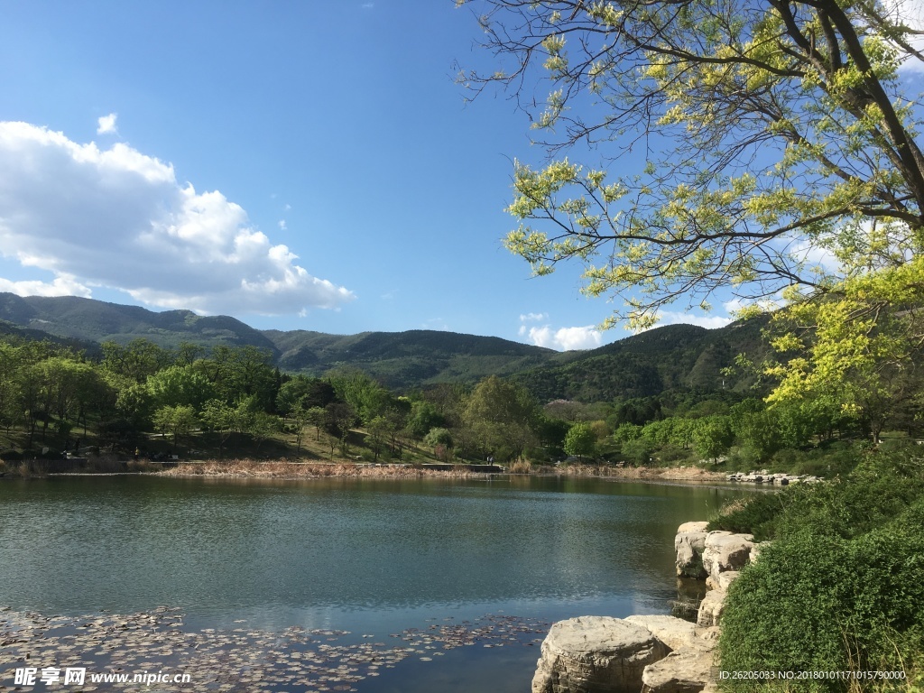 美丽的湖