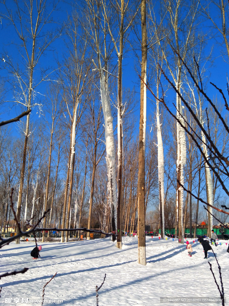 冬天雪景