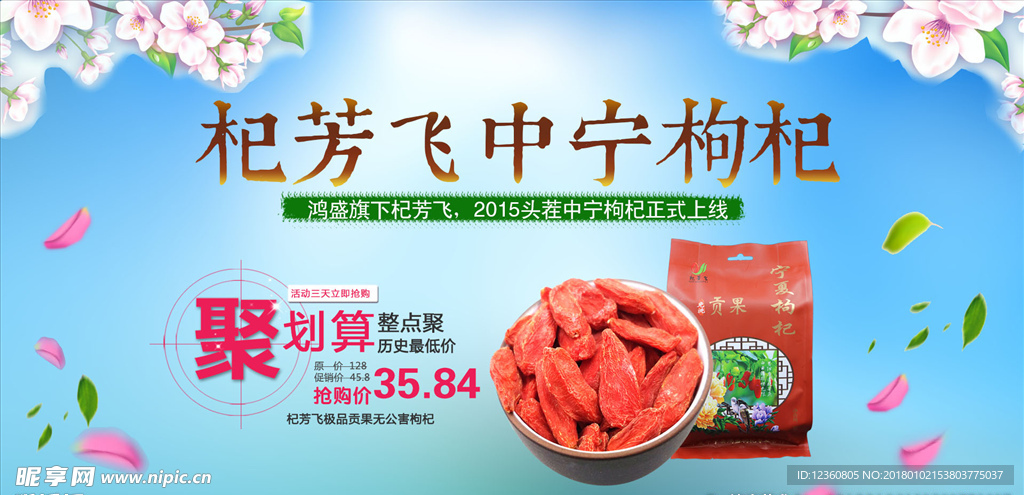 枸杞海报