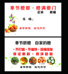脐橙名片