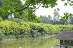 湖边