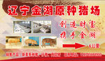 辽宁金湖原种猪场