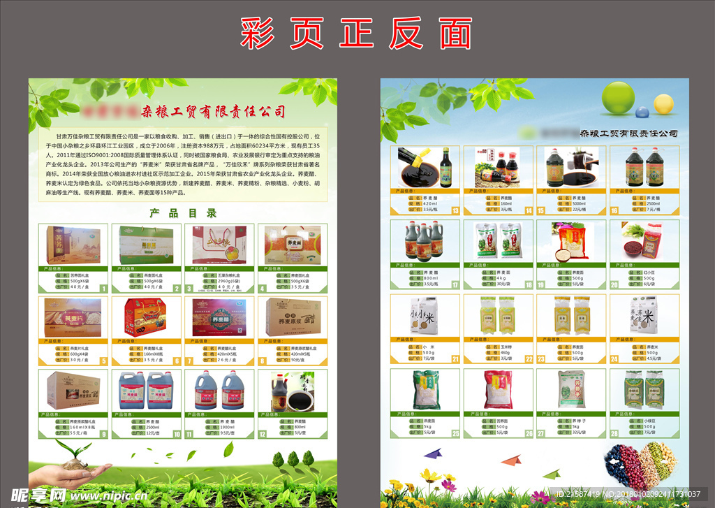 杂粮公司宣传彩页