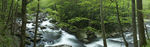 河流 青山绿水
