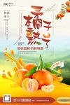 桔子 甜桔