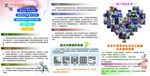 保护视力三折页反