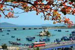 越南岘港海景