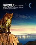 敏锐眼光 企业文化图片