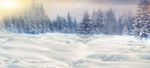 雪景