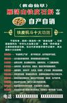 铁皮石斛海报