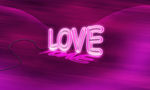 LOVE情人节
