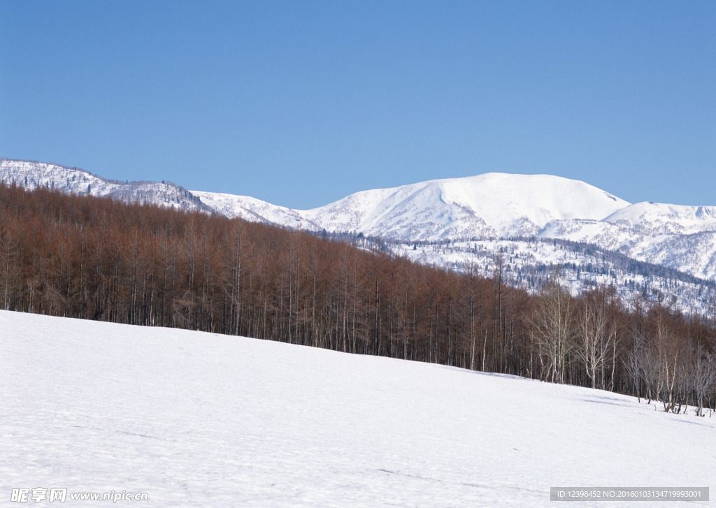 茫茫雪原