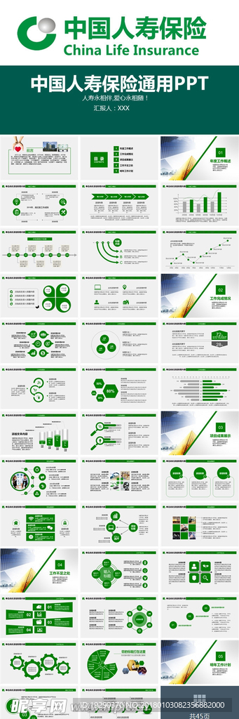中国人寿保险行业PPT