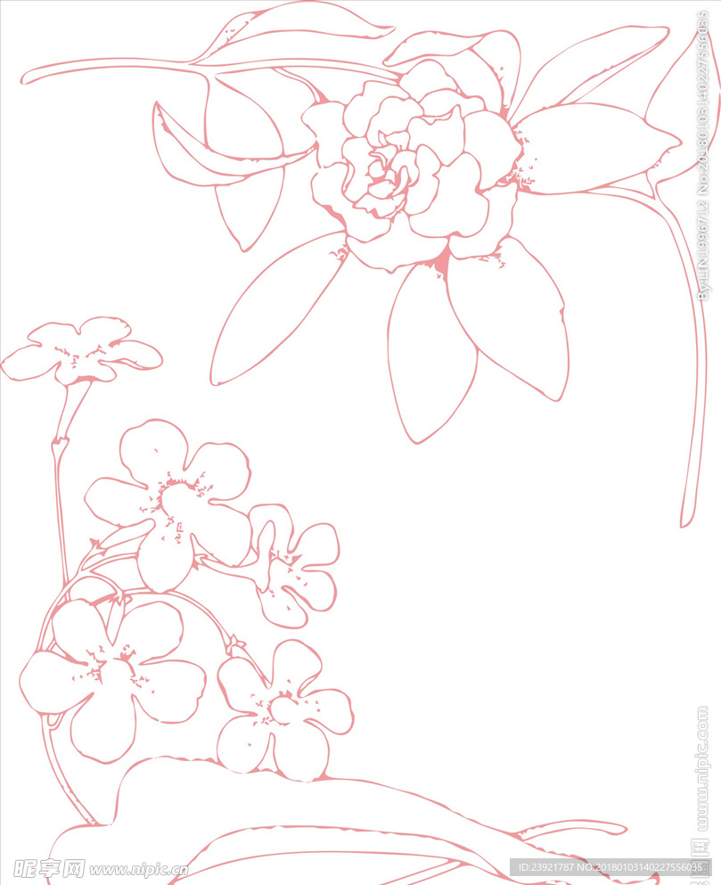 古典 花纹 花边 纹样 清新花