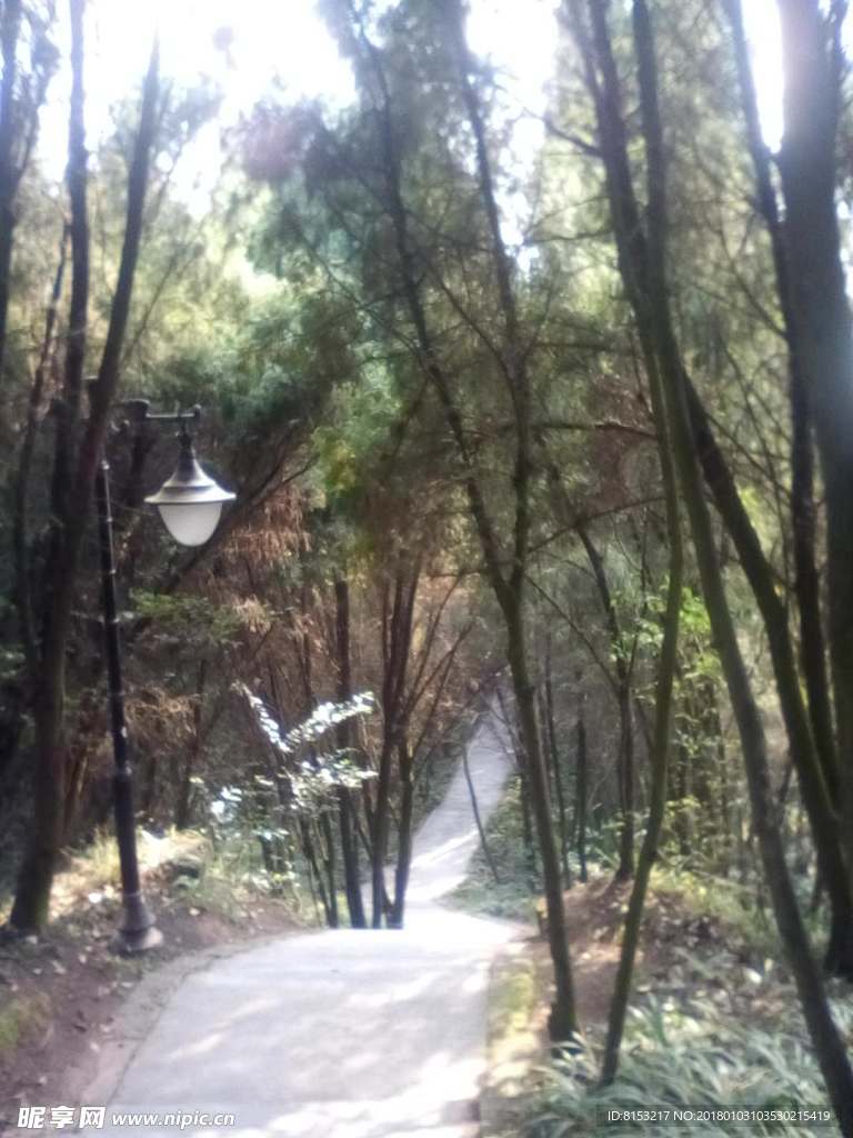 自然美