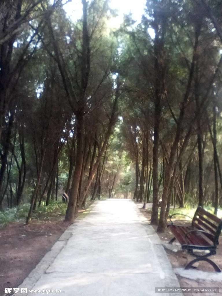 自然风景