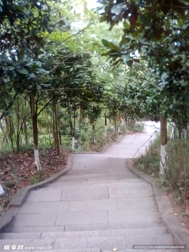 自然风景
