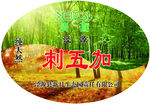 刺五加不干胶