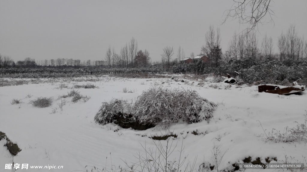 冬日里的乡村雪景