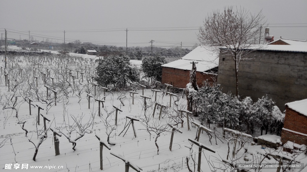 冬日里的乡村雪景