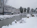 池塘雪景