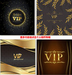 奢华VIP