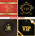 奢华VIP