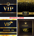 奢华VIP