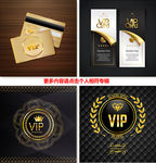 奢华VIP
